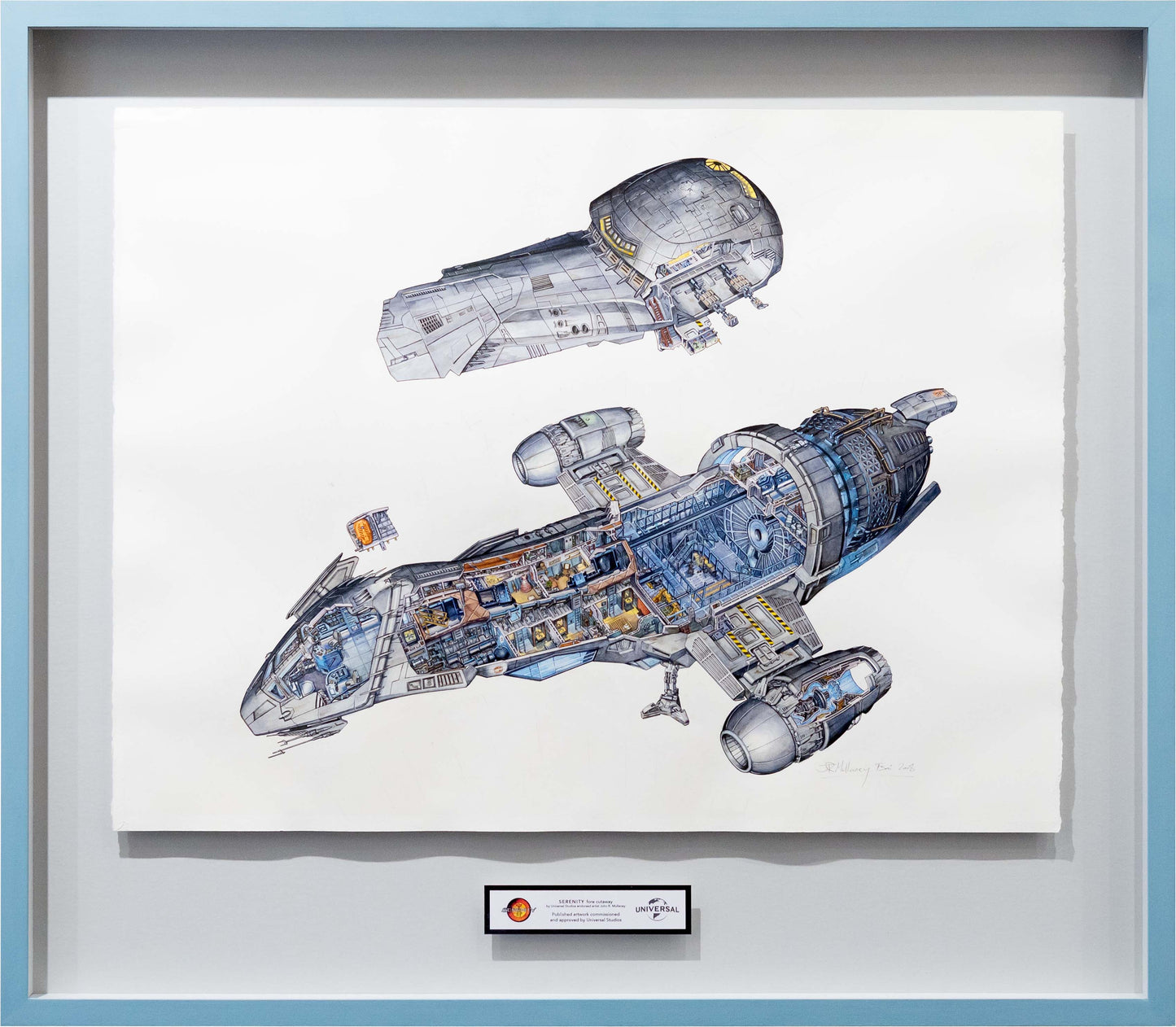 Serenity Fore Cutaway