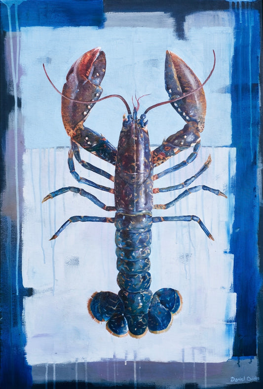 Welsh Lobster - Print